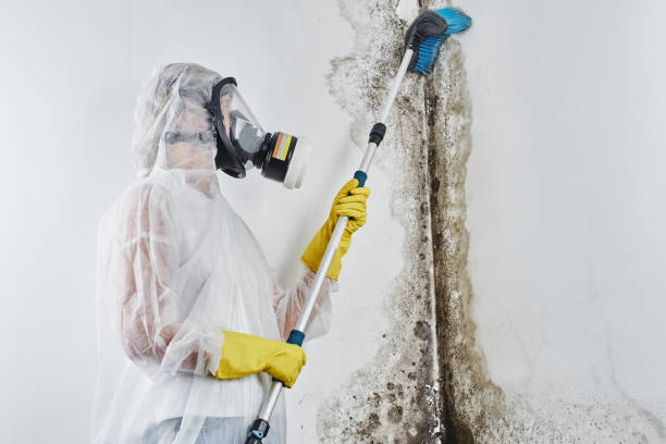 Best Residential Mold Inspection & Testing  in Prospect Park, NJ